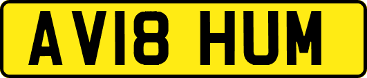 AV18HUM