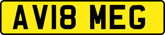 AV18MEG