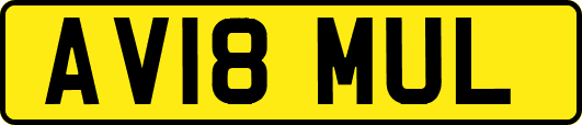 AV18MUL