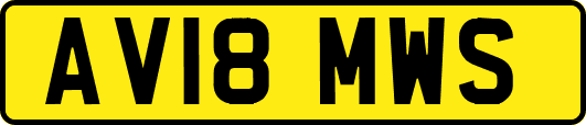 AV18MWS
