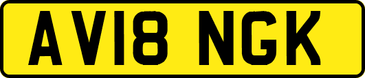 AV18NGK