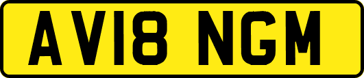 AV18NGM