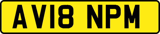 AV18NPM