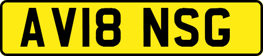 AV18NSG