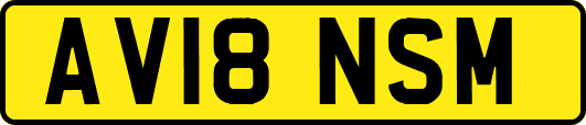 AV18NSM