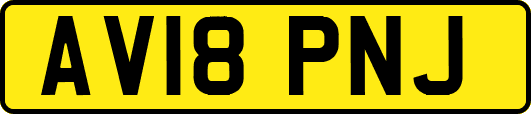 AV18PNJ