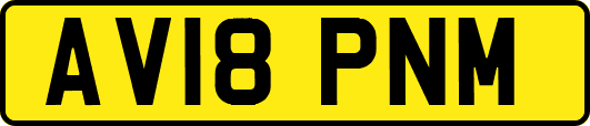 AV18PNM