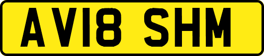 AV18SHM