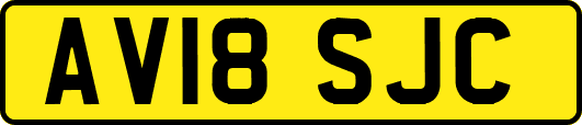 AV18SJC