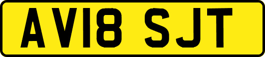 AV18SJT