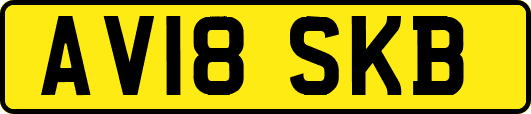 AV18SKB