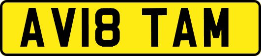AV18TAM