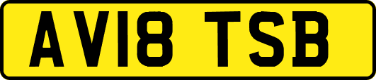 AV18TSB
