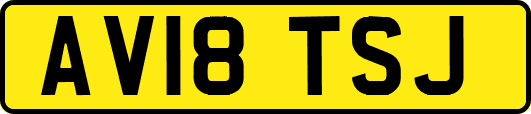 AV18TSJ
