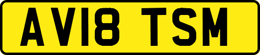 AV18TSM