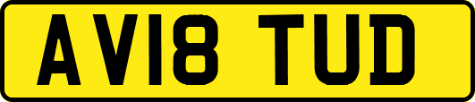 AV18TUD