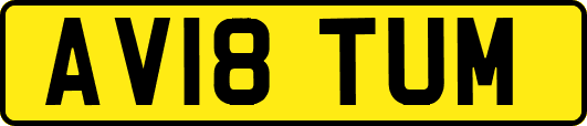 AV18TUM