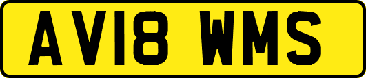 AV18WMS
