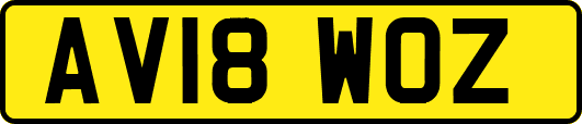 AV18WOZ