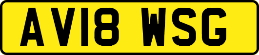 AV18WSG