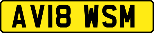 AV18WSM