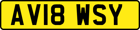 AV18WSY