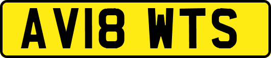 AV18WTS