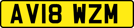 AV18WZM