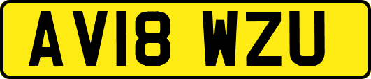 AV18WZU