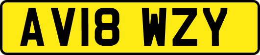 AV18WZY