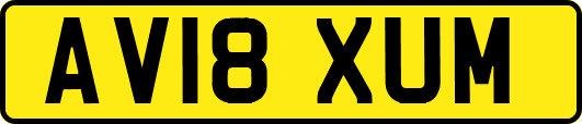 AV18XUM