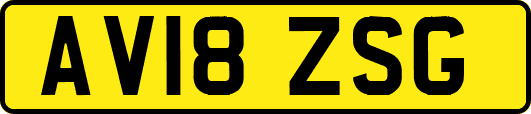 AV18ZSG
