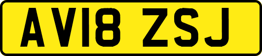 AV18ZSJ