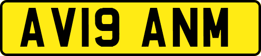 AV19ANM
