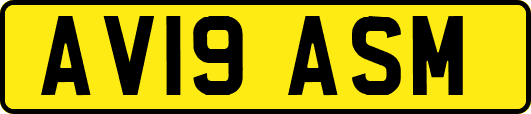 AV19ASM