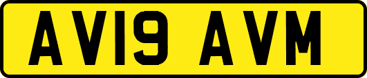 AV19AVM