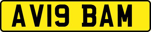 AV19BAM
