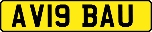 AV19BAU