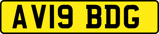 AV19BDG