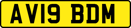 AV19BDM