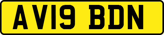 AV19BDN