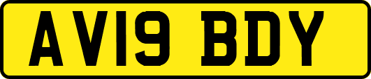 AV19BDY
