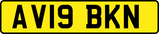 AV19BKN