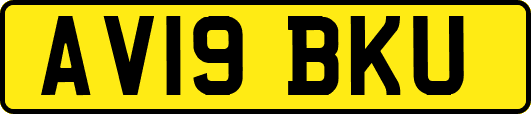 AV19BKU