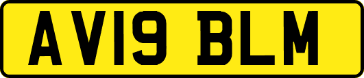 AV19BLM
