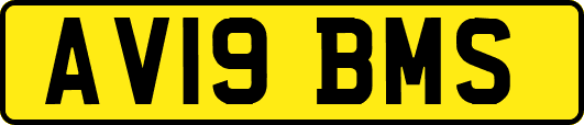 AV19BMS