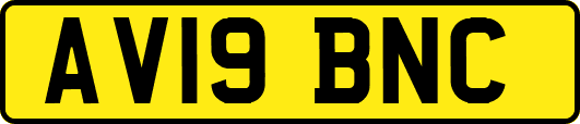 AV19BNC