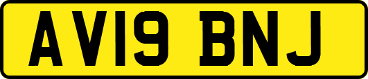 AV19BNJ