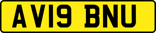 AV19BNU
