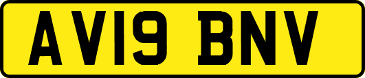 AV19BNV
